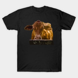 beautiful cow T-Shirt